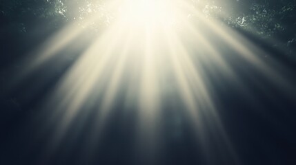 Wall Mural - sunlight streaming through tree branches in a serene forest setting.