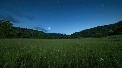 Wall Mural - a serene landscape featuring a night sky with stars and a crescent moon above green hills.