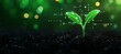 © Sunny Good Cat - young plant sprouting in ground, symbolizing growth and innovation with digital elements. vibrant green leaves contrast against dark soil, creating hopeful atmosphere