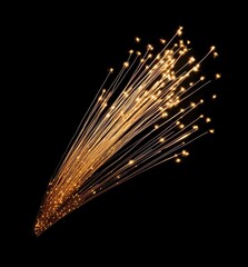 Poster - Golden fireworks exploding in the night sky