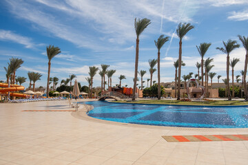 Poster - Relaxing afternoon by a pool in a resort in Egypt with palm trees and clear blue skies