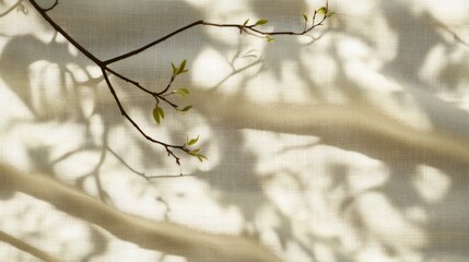 Wall Mural - Branch with sprouting leaves casts soft shadows on textured fabric