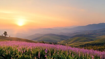 Poster - Warm sunrise glow painting the sky in vibrant hues, illuminating a picturesque landscape of rolling hills, blooming lavender fields, and a distant village nestled in the valleys