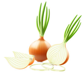 Wall Mural - whole, half and slices of fresh onion. set of ripe yellow onion with green feather and onion rings i