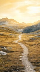 Poster - Golden hour sunlight illuminates a winding path leading through a meadow of dry grass in a mountain valley, creating a serene and inviting scene