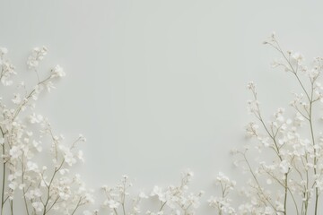 Wall Mural - white flowers on a white background