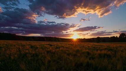 Poster - Sunset over lush green field with dramatic clouds, peaceful countryside landscape