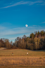 Sticker - The moon at daytime over people walking across a field.