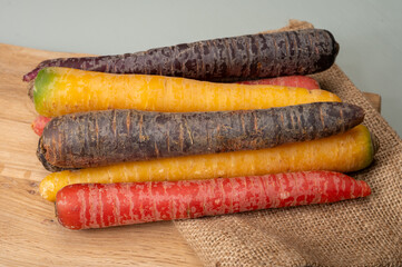 Sticker - Colorful fresh raw purple, yellow, red and purple-orange carrots roots vegetables from greenhouse in the Netherlands