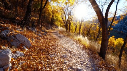 Wall Mural - sunlit path through autumn forest with fallen leaves