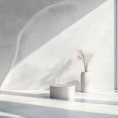 Wall Mural - Minimalistic white room with a concrete floor and a round podium. 3d rendering