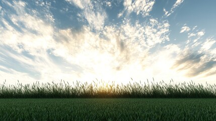 Poster - Serene sunset over a field of tall grass. Warm colors paint the sky as the sun dips below the horizon.