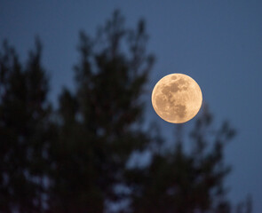 full moon over dead horse ranch state park, cottonwood, arizona, usa