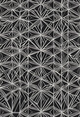 Poster - Geometric Radiance, Abstract Black and White Pattern Design
