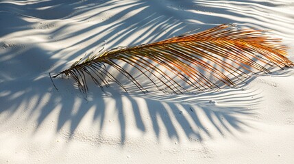 Wall Mural - Palm frond shadow on white sand beach