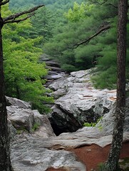 Poster - Serene Rocky Landscape with Green Forest in a Peaceful Nature Setting : Generative AI