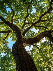 Poster - Majestic Tree Branches Spreading towards a Bright Blue Sky : Generative AI