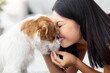 © Prostock-studio - Happy young asian woman petting her cute dog at home, loving korean lady playing with fluffy jack russel terrier on floor in living room, closeup portrait. People and dogs, pets adoption concept