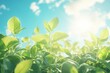 Bright green leaves bask in sunlight, a vibrant spring scene. Perfect for themes of growth, nature, and environmental awareness.