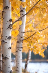 Poster - Golden Autumn Tree Trunks with Bright Yellow Leaves Near Peaceful Waters Edge : Generative AI