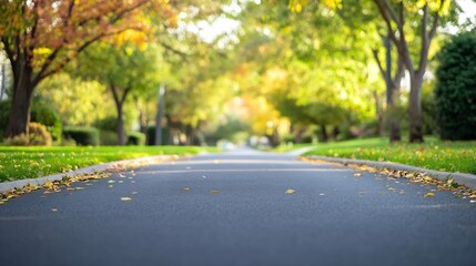 Poster - Tree-Lined Street in the Autumn Showcasing Fall Colors and Peaceful Vibe : Generative AI