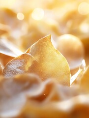 Aufkleber - Close-up of soft golden leaves capturing warm sunlight for autumn vibes : Generative AI