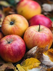 Poster - Fresh and Juicy Apples Surrounded by Colorful Autumn Leaves Perfect for Fall Photography : Generative AI