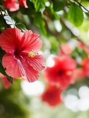 Aufkleber - Vibrant red hibiscus flowers blooming amidst lush greenery in a beautiful natural setting : Generative AI