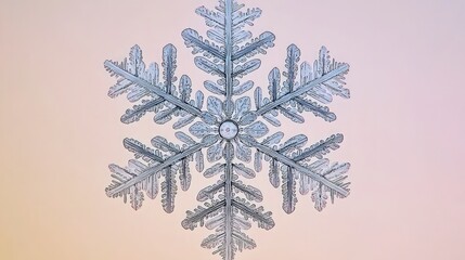 Wall Mural - Stunning Close up of Intricate Snowflake Crystal Ice Pattern