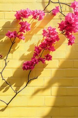Aufkleber - Vibrant pink flowers bloom against a vivid yellow brick wall, casting delicate shadows in the warm sunlight, inviting a sense of joy and creativity in the atmosphere