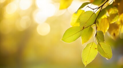 Poster - Vibrant Sunlit Green Leaves with a Soft Bokeh Background for Nature Themes : Generative AI