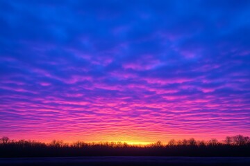 Wall Mural - Bright sunrise paints skies, clouds over landscape with silhouetted trees as sun breaks through. Wallpaper