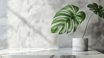 Poster - A stunning white marble display podium holds a vibrant monstera plant in a sleek pot, casting shadows on a subtly textured wall, creating a serene and stylish atmosphere
