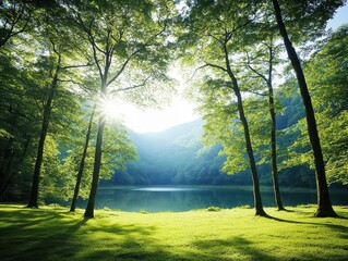 Poster - Lush Green Forest Overlooking Tranquil Lake with Bright Sun Shining Through Dense Tree Canopy