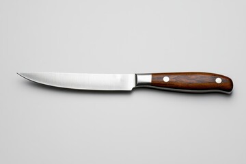 elegant kitchen knife exhibits its stainless steel blade and handle