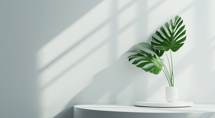 Wall Mural - Minimalist Monstera plant on white display, sunlit room, product backdrop