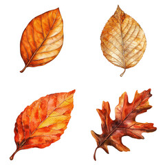 Poster - Autumn leaves watercolor artwork nature studio artistic depiction vibrant colors detailed view watercolor translate background