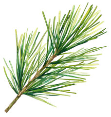 Poster - Watercolor pine branch natural environment artistic background botanical concept