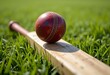 © Pungkas - Worn cricket ball resting on a bat, on vibrant green grass, idyllic outdoor moment