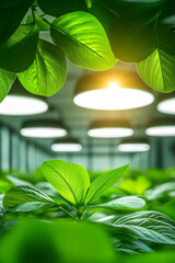 Poster - Detail-oriented shot of a smart greenhouse interior, featuring modern LED grow lights against a