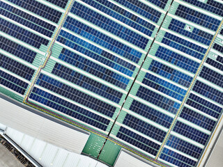 Wall Mural - Rooftop solar panels on an industrial plant building. Ecofriendly electricity production, renewable energy efficiency, and sustainable technology for reducing carbon emissions in commercial settings.