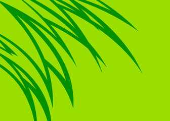Poster - Abstract background with curved spikes pattern and with some copy space area. Simple tropical background