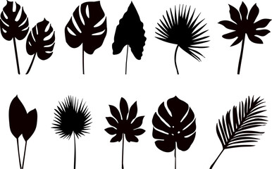 Wall Mural - set of silhouettes palm leaves, vector