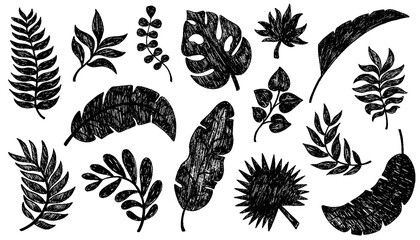 Palm leaves hand drawn crayon brush illustration. Chalk textured tropical jungle doodle shapes. Foliage tropical jungle leaves monstera, texture silhouette elements. Hand drawn grunge texture. Vector