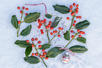 Wall Mural - Weihnachts-Dekoration mit Eisfigur mit Stechpalmen-Beeren im Schnee