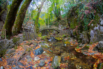 Wall Mural - Ayazma Pınarı Nature Park is located in the Bayramiç district of Çanakkale, at the foothills of the Kaz Mountains and attracts attention with its natural beauty.