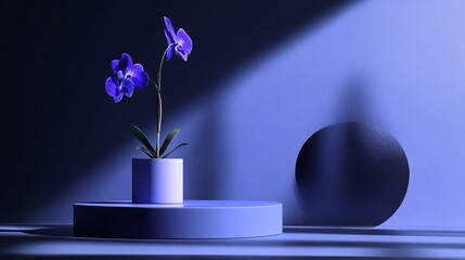 Elegant purple orchid in a minimalist setting with soft shadows and a contrasting background