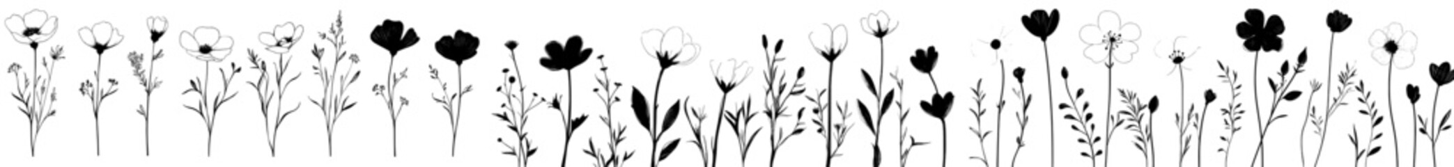 Poster - A hand-drawn line wedding herb and elegant leaves can be used for a logo or tattoo, paired with a floral branch and minimalist flowers