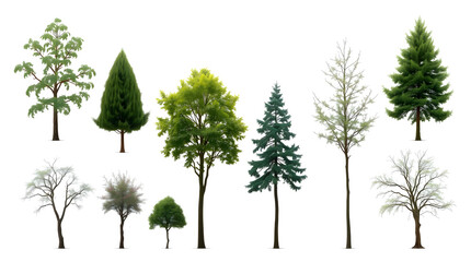 Poster - Collection tree isolate on white background