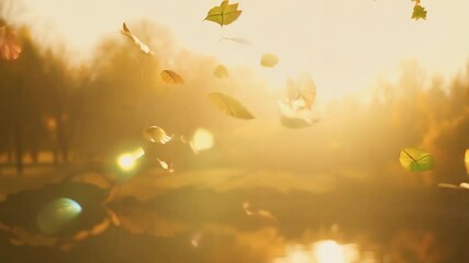 Wall Mural - autumn leaves gracefully falling by the river